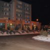 zdj11