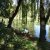 Galeria zdjęć » Zawody wędkarskie 26-05-2012